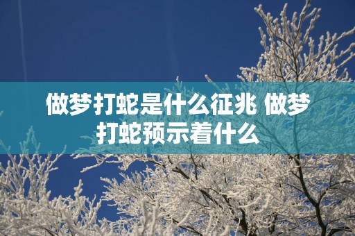 做梦打蛇是什么征兆 做梦打蛇预示着什么