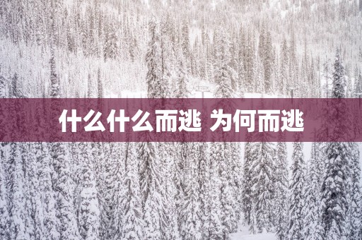 什么什么而逃 为何而逃