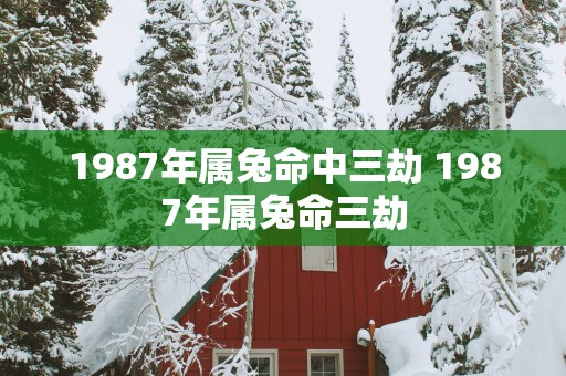 1987年属兔命中三劫 1987年属兔命三劫