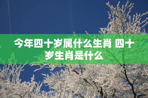 今年四十岁属什么生肖 四十岁生肖是什么