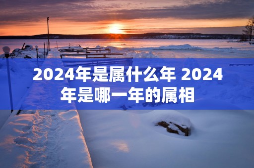 2024年是属什么年 2024年是哪一年的属相