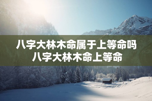 八字大林木命属于上等命吗 八字大林木命上等命