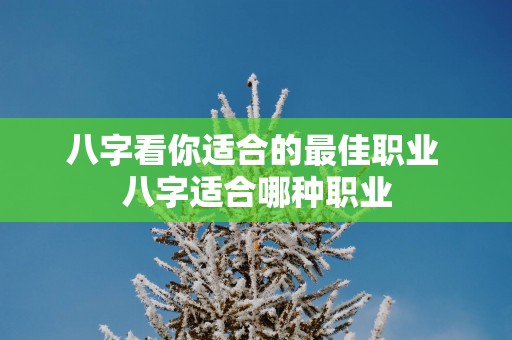 八字看你适合的最佳职业 八字适合哪种职业