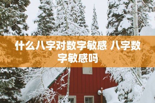 什么八字对数字敏感 八字数字敏感吗