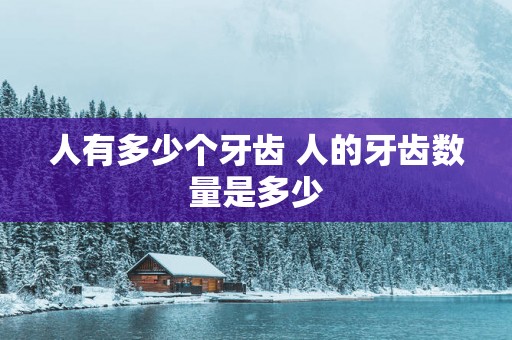 人有多少个牙齿 人的牙齿数量是多少