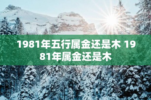1981年五行属金还是木 1981年属金还是木