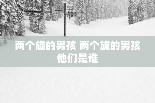 两个旋的男孩 两个旋的男孩他们是谁