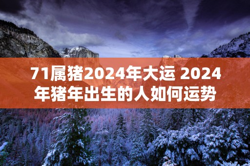 71属猪2025年大运 2025年猪年出生的人如何运势