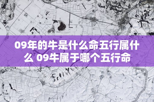 09年的牛是什么命五行属什么 09牛属于哪个五行命