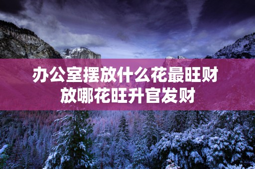 办公室摆放什么花最旺财 放哪花旺升官发财