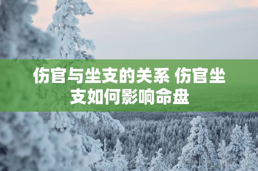 伤官与坐支的关系 伤官坐支如何影响命盘