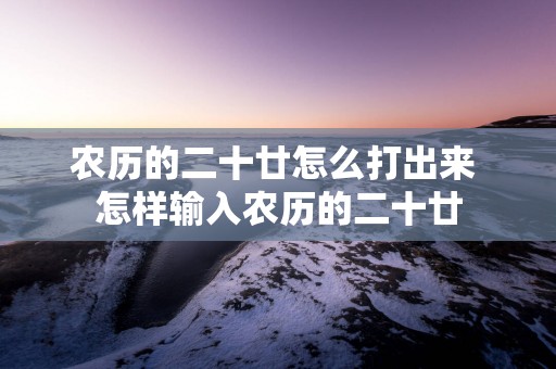 农历的二十廿怎么打出来 怎样输入农历的二十廿