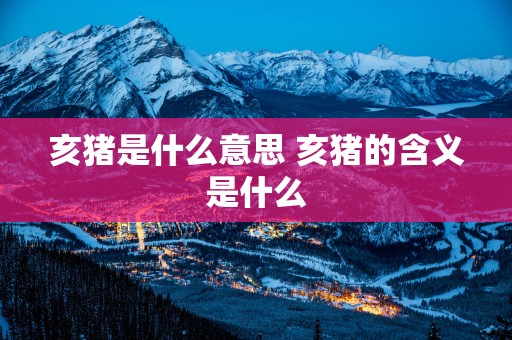 亥猪是什么意思 亥猪的含义是什么