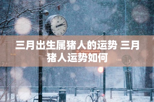 三月出生属猪人的运势 三月猪人运势如何