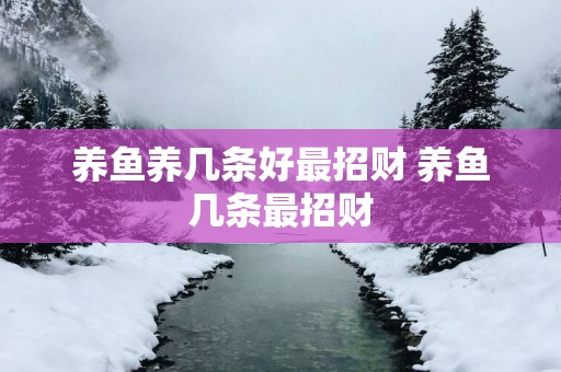 养鱼养几条好最招财 养鱼几条最招财