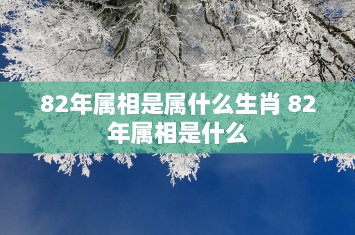 82年属相是属什么生肖 82年属相是什么