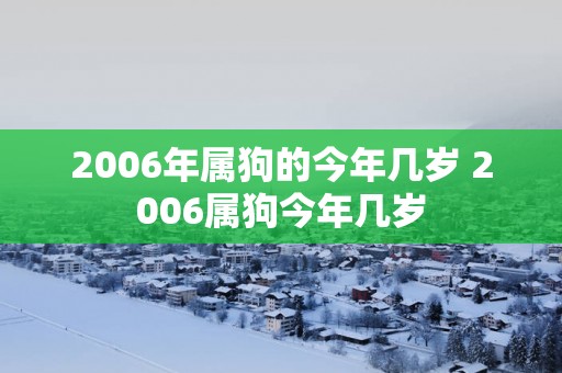 2006年属狗的今年几岁 2006属狗今年几岁