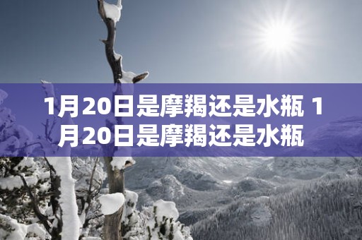 1月20日是摩羯还是水瓶 1月20日是摩羯还是水瓶