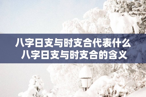 八字日支与时支合代表什么 八字日支与时支合的含义是什么