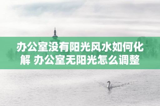 办公室没有阳光风水如何化解 办公室无阳光怎么调整风水
