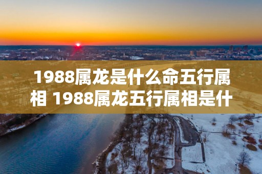 1988属龙是什么命五行属相 1988属龙五行属相是什么