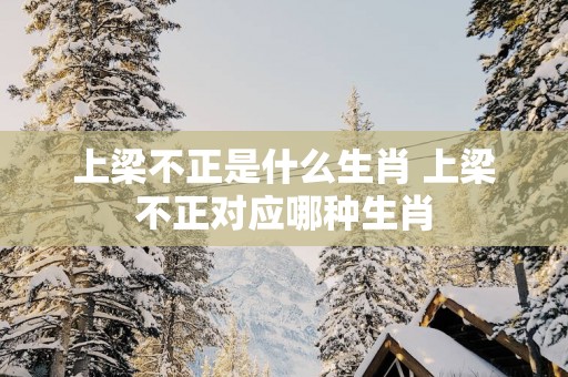 上梁不正是什么生肖 上梁不正对应哪种生肖