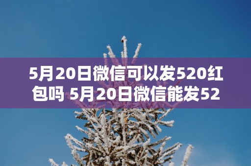 5月20日微信可以发520红包吗 5月20日微信能发520红包吗