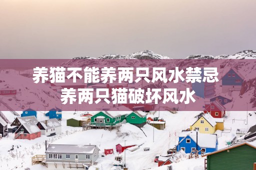 养猫不能养两只风水禁忌 养两只猫破坏风水
