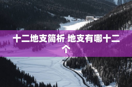 十二地支简析 地支有哪十二个