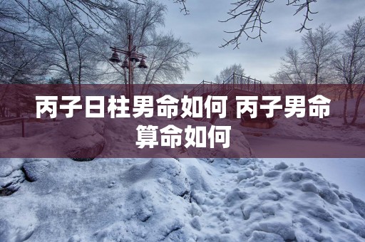 丙子日柱男命如何 丙子男命算命如何