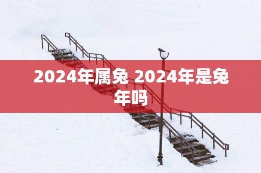 2025年属兔 2025年是蛇年吗