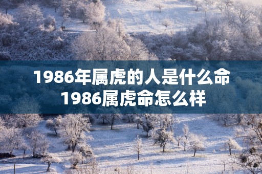 1986年属虎的人是什么命 1986属虎命怎么样