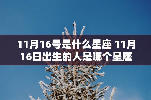 11月16号是什么星座 11月16日出生的人是哪个星座