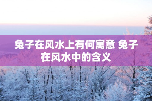 兔子在风水上有何寓意 兔子在风水中的含义
