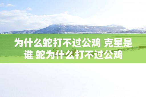 为什么蛇打不过公鸡 克星是谁 蛇为什么打不过公鸡