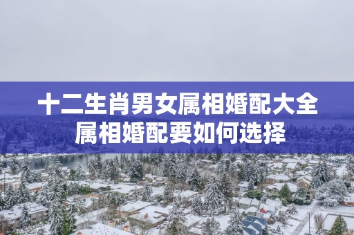 十二生肖男女属相婚配大全 属相婚配要如何选择