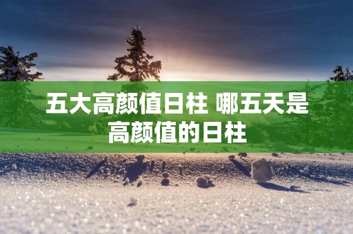 五大高颜值日柱 哪五天是高颜值的日柱
