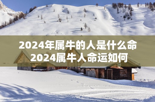 2025年属牛的人是什么命 2025属牛人命运如何