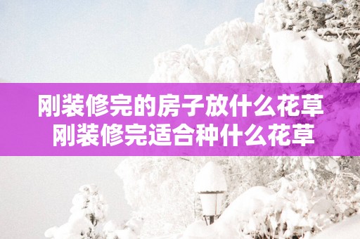 刚装修完的房子放什么花草 刚装修完适合种什么花草
