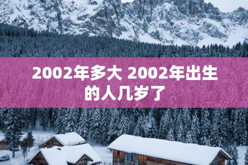 2002年多大 2002年出生的人几岁了