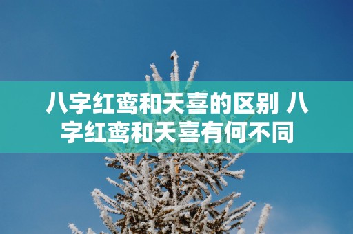 八字红鸾和天喜的区别 八字红鸾和天喜有何不同