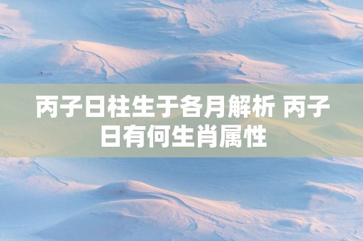丙子日柱生于各月解析 丙子日有何生肖属性