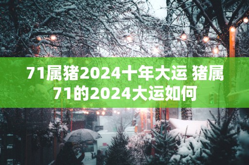 71属猪2025十年大运 猪属71的2025大运如何