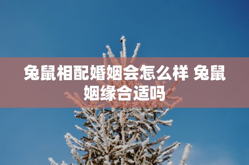 兔鼠相配婚姻会怎么样 兔鼠姻缘合适吗