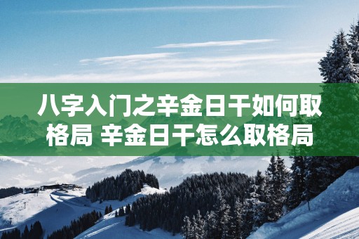 八字入门之辛金日干如何取格局 辛金日干怎么取格局