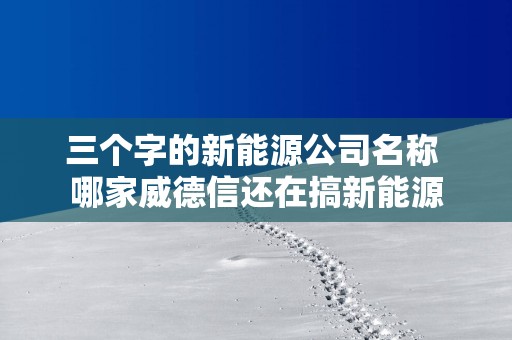 三个字的新能源公司名称 哪家威德信还在搞新能源