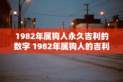 1982年属狗人永久吉利的数字 1982年属狗人的吉利数字是什么