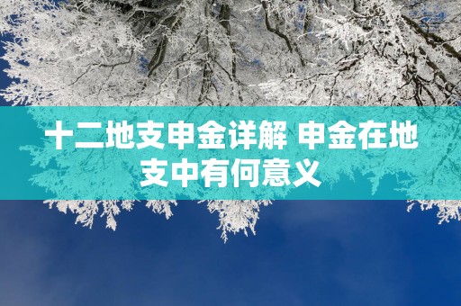 十二地支申金详解 申金在地支中有何意义