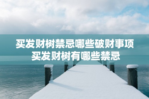 买发财树禁忌哪些破财事项 买发财树有哪些禁忌