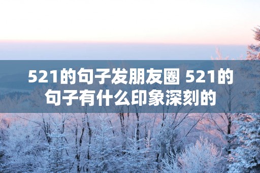 521的句子发朋友圈 521的句子有什么印象深刻的